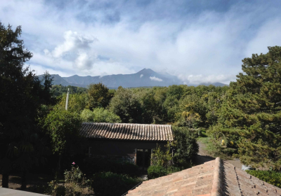 Casa Vacanze Casale Palmento Miloagriproduction